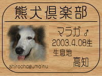 ���I�[�i�[�́A�}�[�����܂܂���ł���